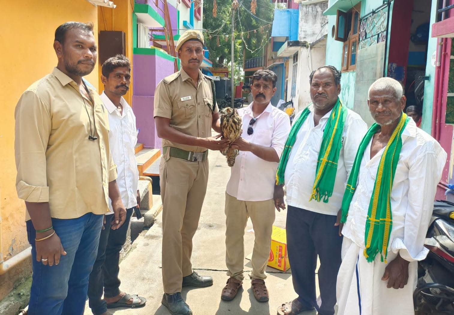 வாணியம்பாடியில் வெப்பத்தால் மயங்கி விழுந்த அரிய வகை பாறை ஆந்தை – இயற்கை ஆர்வலர்கள் மீட்டு வனத்துறையிடம் ஒப்படைப்பு!