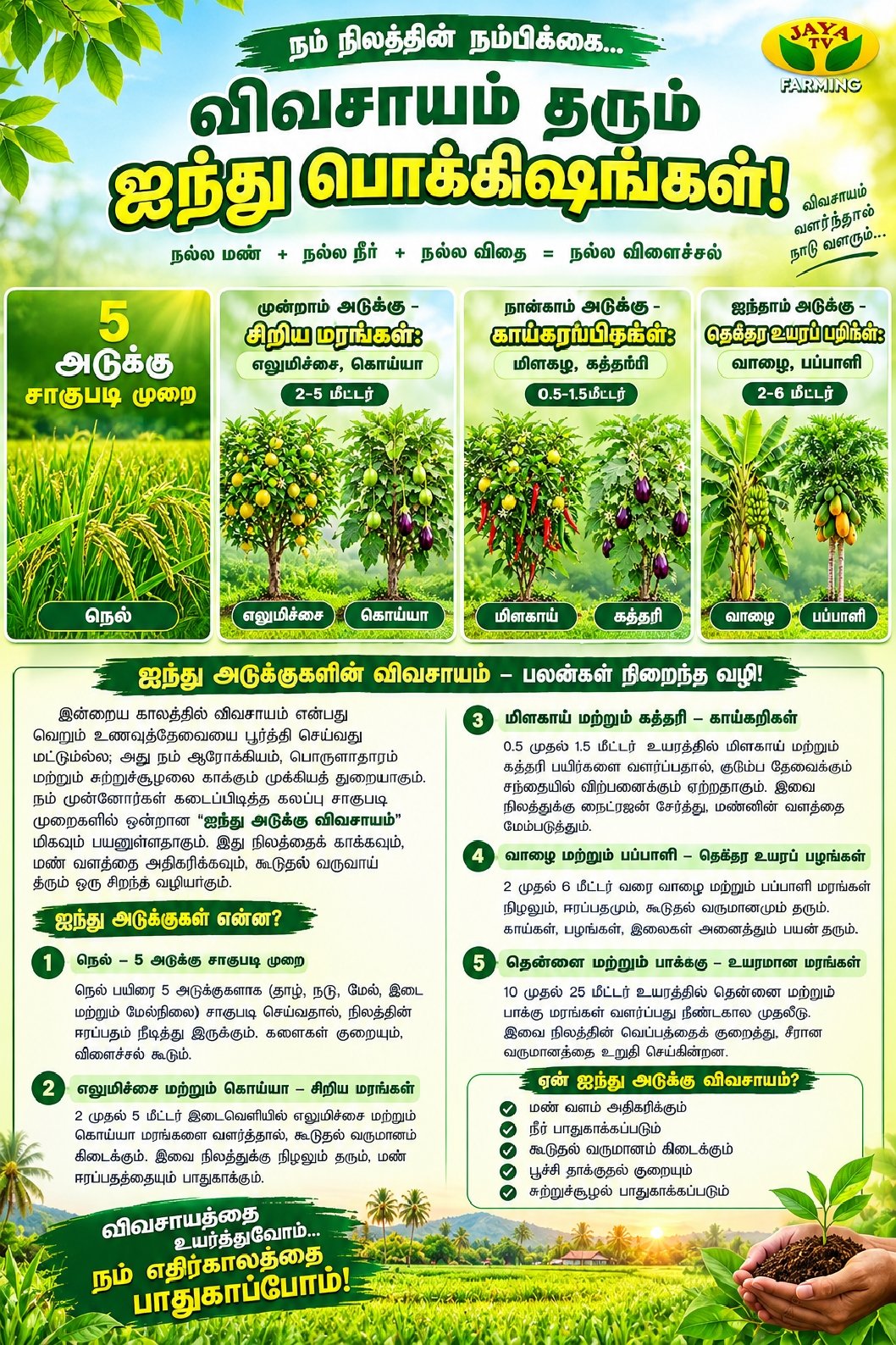 ஐந்து அடுக்கு சாகுபடி முறை – விவசாயிகளுக்கு அதிக வருமானம் தரும் இயற்கை வழி!